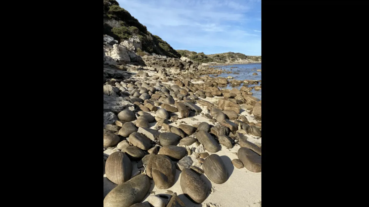 optical-illusion-spot-the-dog-on-beach-in-under-10-seconds